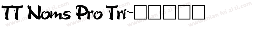 TT Noms Pro Tri字体转换